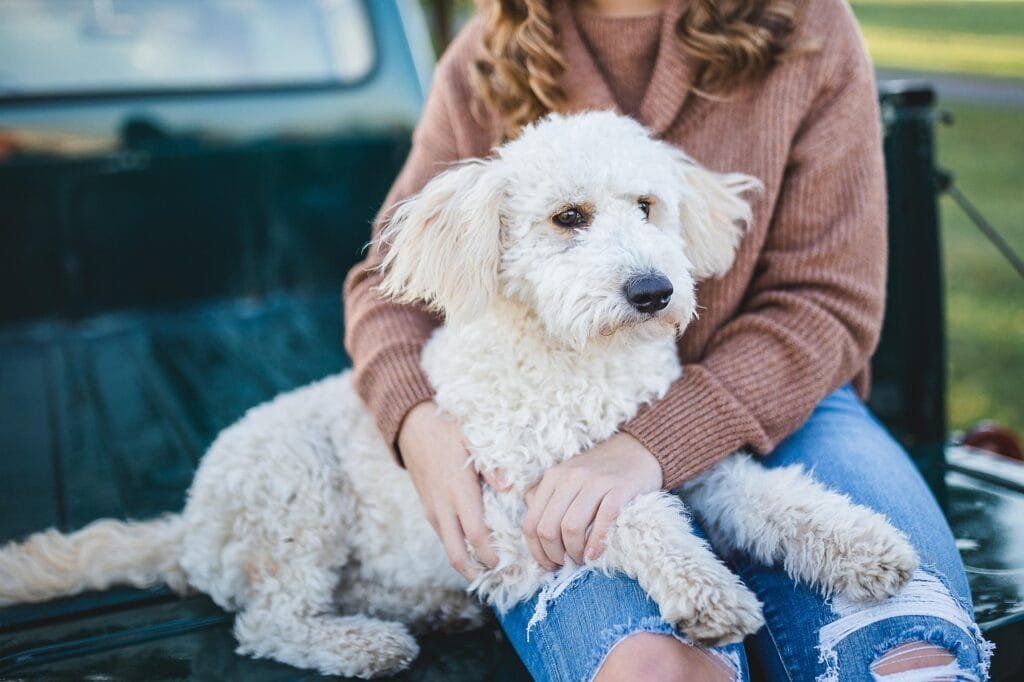 Woman holding white fluffy dog on pickup truck—first day as a pet owner.