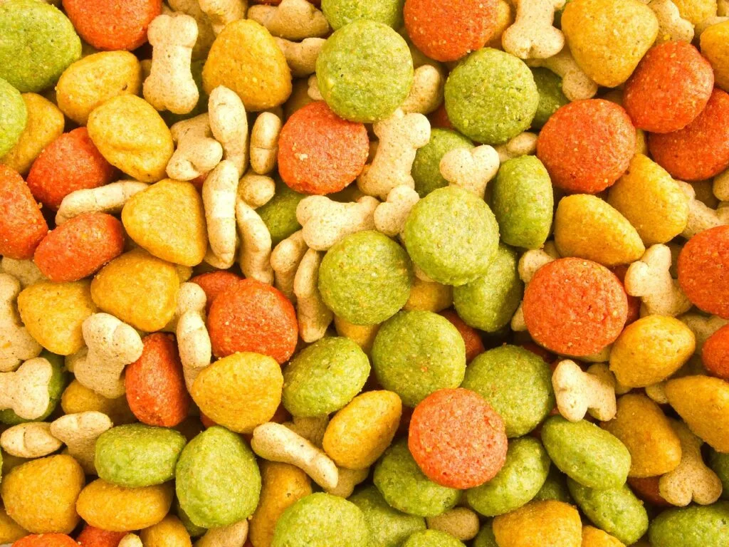 Home Colorful dog treats displayed as part of a balanced approach to dog nutrition, highlighting healthy snacking options for pets.