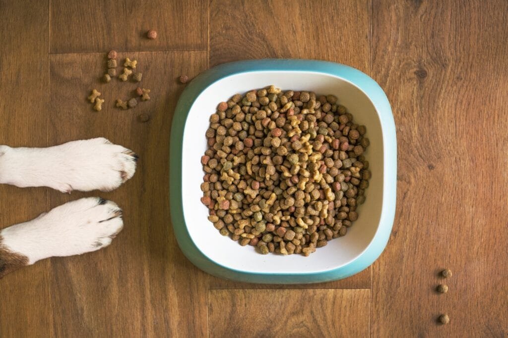 Home dog food kibble