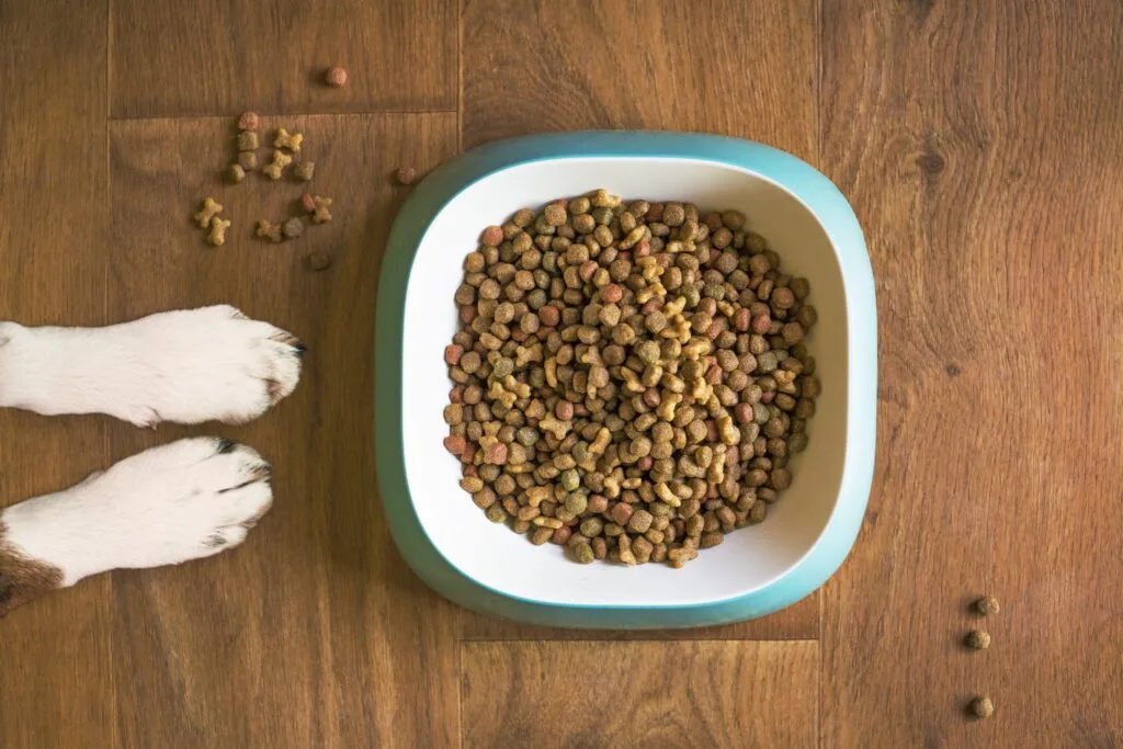 Home dog food kibble