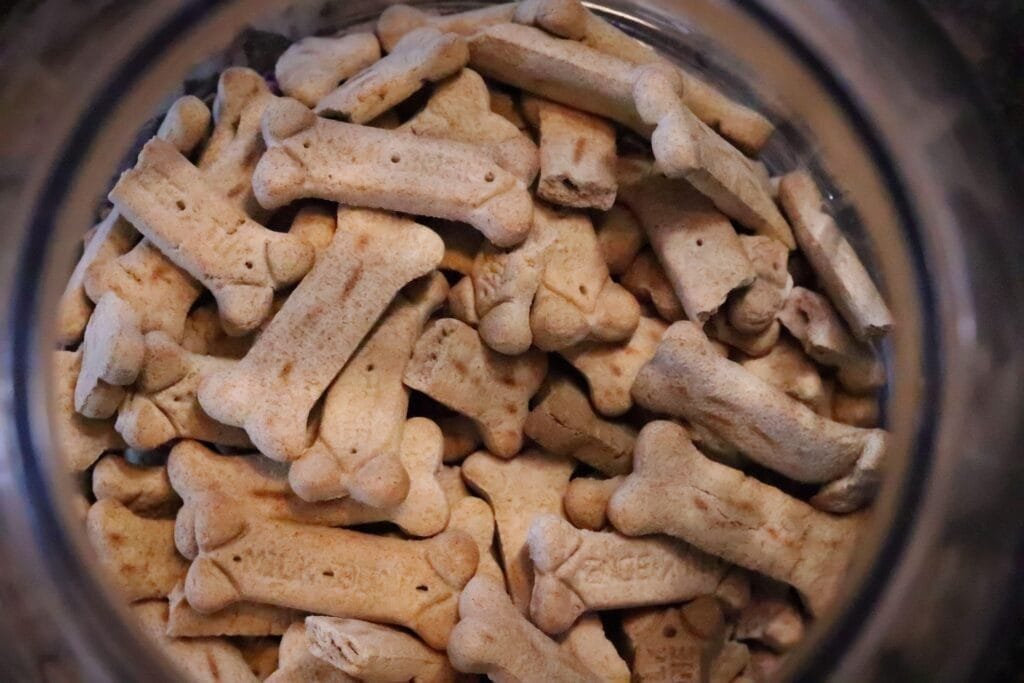 Home dog treats bone biscuit