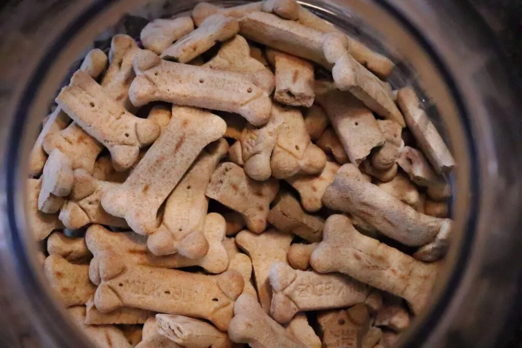 Home dog treats bone biscuit