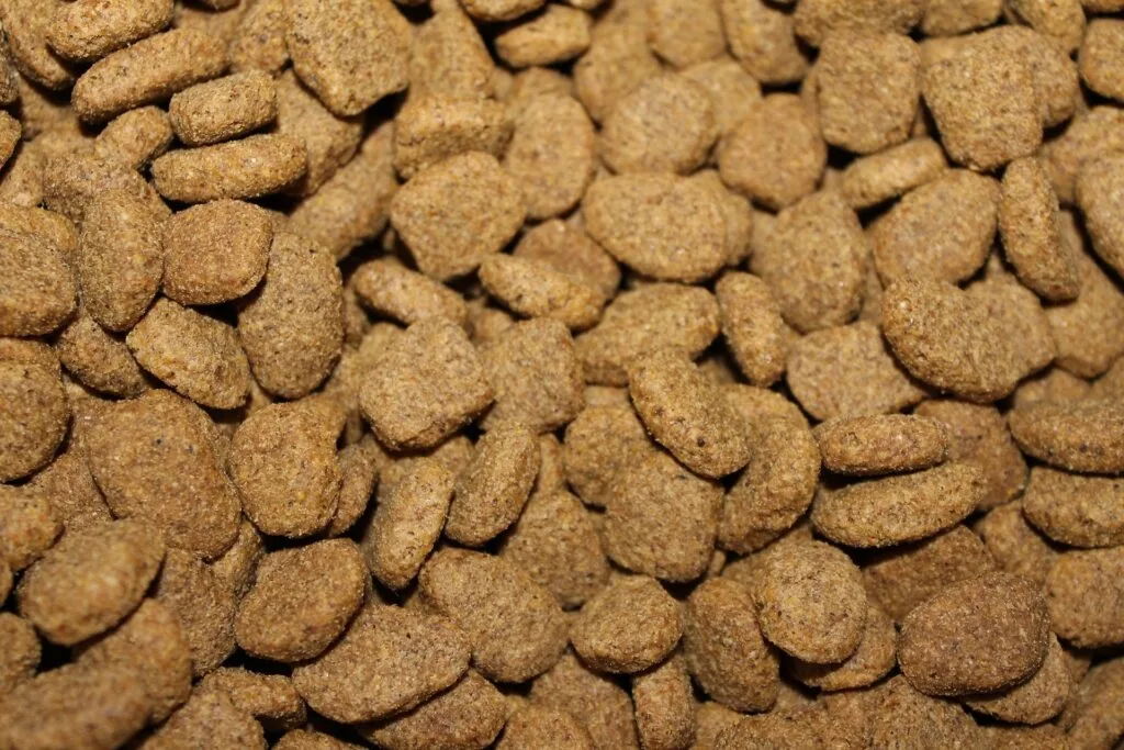 Home kibble dog food