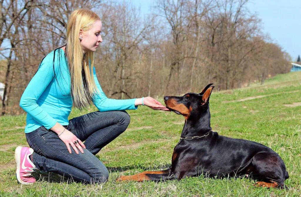 Home A young woman sits in a green field gently touching her Doberman’s jaw, symbolizing trusted pet care tips and the bond between dogs and owners.